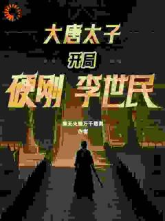 爆款小说大唐太子：开局硬刚李世民主角李承乾李世民全文在线完本阅读-欧迈阅读网