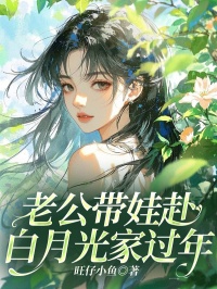 苏乔盛川主角抖音小说老公带娃赴白月光家过年在线阅读