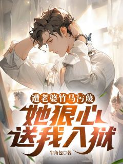 好书推荐遭老婆竹马污蔑,她狠心送我入狱林时安孟月全文在线阅读-欧迈阅读网