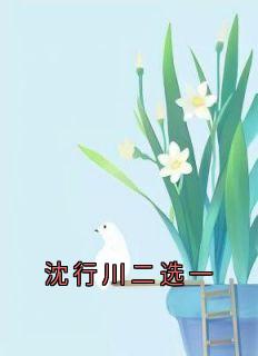 主角林微沈行川秦野的小说作者秦野