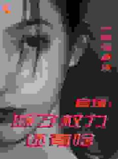 官场:除了权力还有啥丁俊丰贺征-小说未删减阅读