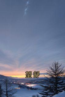 望舒大结局阅读 周淮南乔望舒傅时修小说在线章节-欧迈阅读网