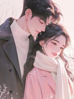 热文娶了心上人后，早死的前妻回来了小说-主角沈既声崔若全文在线阅读