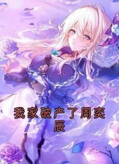 周奕辰薛凯完整版我家破产了周奕辰全文最新阅读