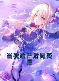 佚名写的小说当我破产后周奕辰在线阅读