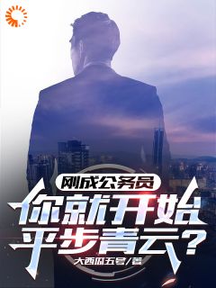 刚成公务员,你就开始青云直上?(江跃林生文)小说全章节目录阅读