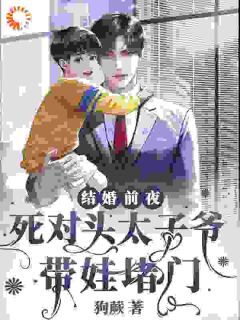 死对头找上门,我什么时候生了娃?小说最新章节-主角安恬沈淮野全文免费阅读