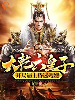 大乾六皇子，开局遇上昏迷嫂嫂！小说全集(秦夜林若薇)无弹窗广告阅读