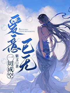 爱意已无,一切成空小说的书名是什么