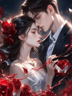 深情错予他苏曼秦斯礼免费全章节目录阅读