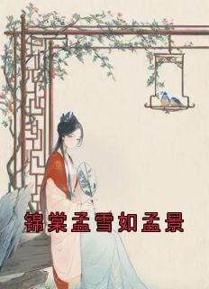 主角锦棠孟锦孟雪如小说完整版-锦棠孟雪如孟景免费阅读全文-欧迈阅读网