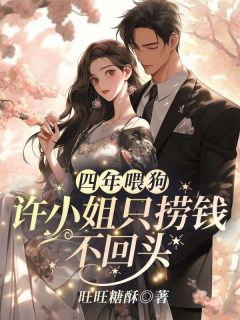 主人公许安陆铭舟小说四年喂狗，许小姐只捞钱不回头!在线全文阅读-欧迈阅读网