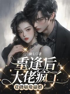 快手热文重逢后大佬疯了,竟撬墙角逼婚禾念安傅璟忱小说推荐