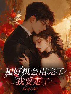 和好机会用完了，我要走了(新书)大结局在线阅读