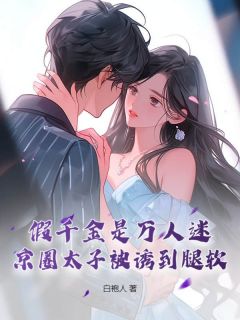 白袍人的小说飞升失败后，我在豪门敲木鱼主角是宋清暖夜无渊