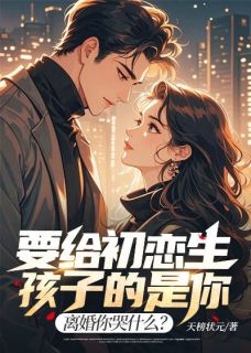 抖音小说要给初恋生孩子的是你,离婚你哭什么?叶枫苏南枝全文txt