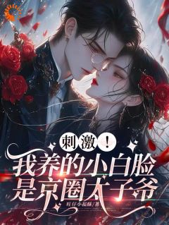 精选好书刺激！我养的小白脸是京圈太子爷无删减版全文在线