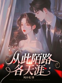 从此陌路各天涯精彩小说-从此陌路各天涯目录阅读