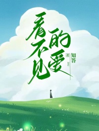 看不见的爱小说在线阅读，主角时逸许忆安精彩段落最新篇