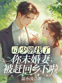 最完整版司少别找了,你未婚妻被赶回乡下啦!热门连载小说