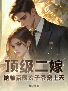 全章节小说顶级二嫁，她被京圈太子爷宠上天糖心兔最新阅读