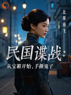 民国谍战：从宝箱开始，手撕鬼子小说在线阅读，主角林枫阿兰精彩段落最新篇