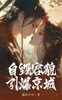 好书推荐自毁容貌引爆京城苏应为云心全文在线阅读