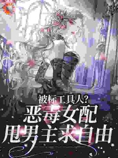 好书推荐商界传奇宋以宁宋以宁许继琛全文在线阅读