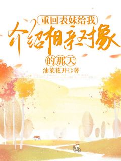 重回表妹给我介绍相亲对象的那天完整版-陈茜李悦秀在线全文阅读