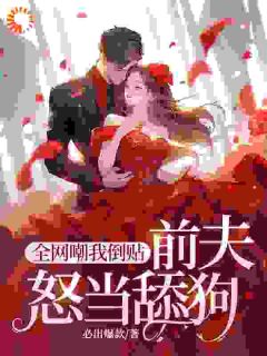 苏清眠盛廷枢是什么小说免费版阅读抖音热文