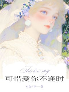 高质量小说可惜爱你不逢时在线试读-欧迈阅读网