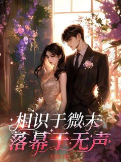 相识于微末,落幕于无声林浅陆宴小说全文-相识于微末,落幕于无声小说