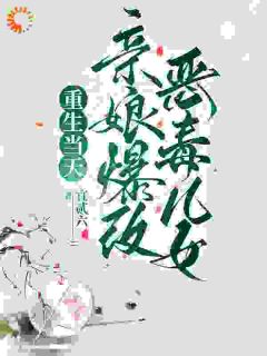 主角是宋意顾北萧的重生后，我把渣夫赶出了府抖音热门小说