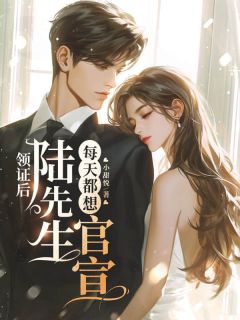 领证后,陆先生每天都想官宣小说-领证后,陆先生每天都想官宣抖音小说秦烟陆前川