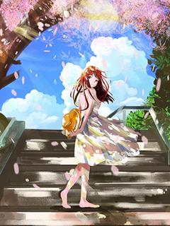 宋书荞傅卿尘全文小说最新章节阅读宋书荞傅卿尘