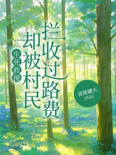 生死救援,却被村民拦收过路费(全本)刘大山石头完整章节列表免费阅读