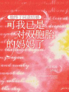 他终于同意结婚，可我已是一对双胞胎的妈妈了(许妍罗志成)最新章节试读-欧迈阅读网
