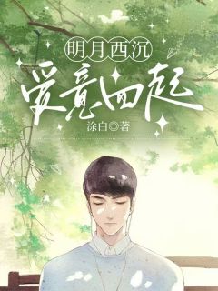 明月西沉,爱意四起小说(完整版)-沈辞沈嘉妍顾修远章节阅读