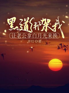 抖音爆款小说黑道绑架我,让老公拿白月光来换顾景深念念免费txt全文阅读-欧迈阅读网