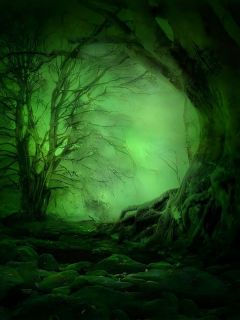 五一假期,弟弟要去哀牢山探险小说最新章节 徐招娣阿耀结局是什么