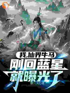 我,仙界牛马,刚回蓝星就曝光了大结局阅读 黄天周平小说在线章节