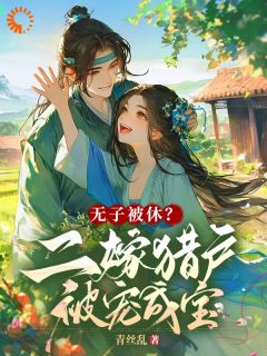 (全本)无子被休?二嫁猎户被宠成宝主角张小满李三全文目录畅读