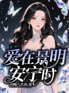 爱在景明安宁时安宁何景明全章节完结版在线阅读