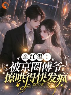 苏晚夏沈莫白小说<大佬恋爱脑上身，我招架不住了>全文在线阅读