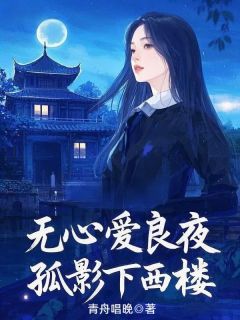 无心爱良夜,孤影下西楼小说南安秦清阳最新章节阅读