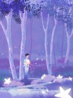 顾星河顾锦程全本章节在线阅读大结局