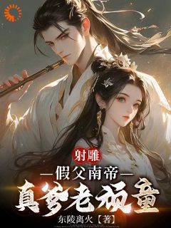 重生射雕:我就是武林一霸小说-重生射雕:我就是武林一霸抖音小说段星炎刘贵妃