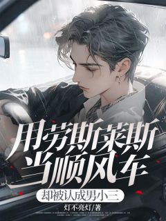 用劳斯莱斯当顺风车,却被认成男小三免费章节用劳斯莱斯当顺风车,却被认成男小三点我搜索全章节小说-欧迈阅读网