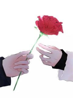 重回八零,假离婚成真后他慌了知乎小说最新章节阅读-欧迈阅读网