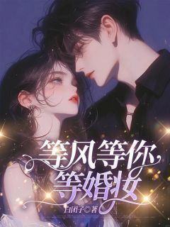 全章节小说等风等你等婚妆白团子最新阅读